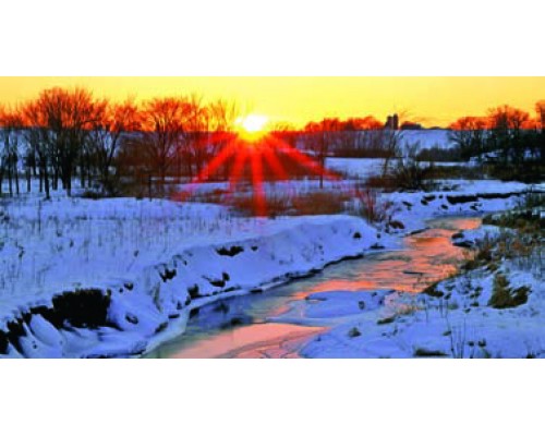 Desk Calendar DC19